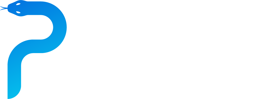 Teach Me Python logo